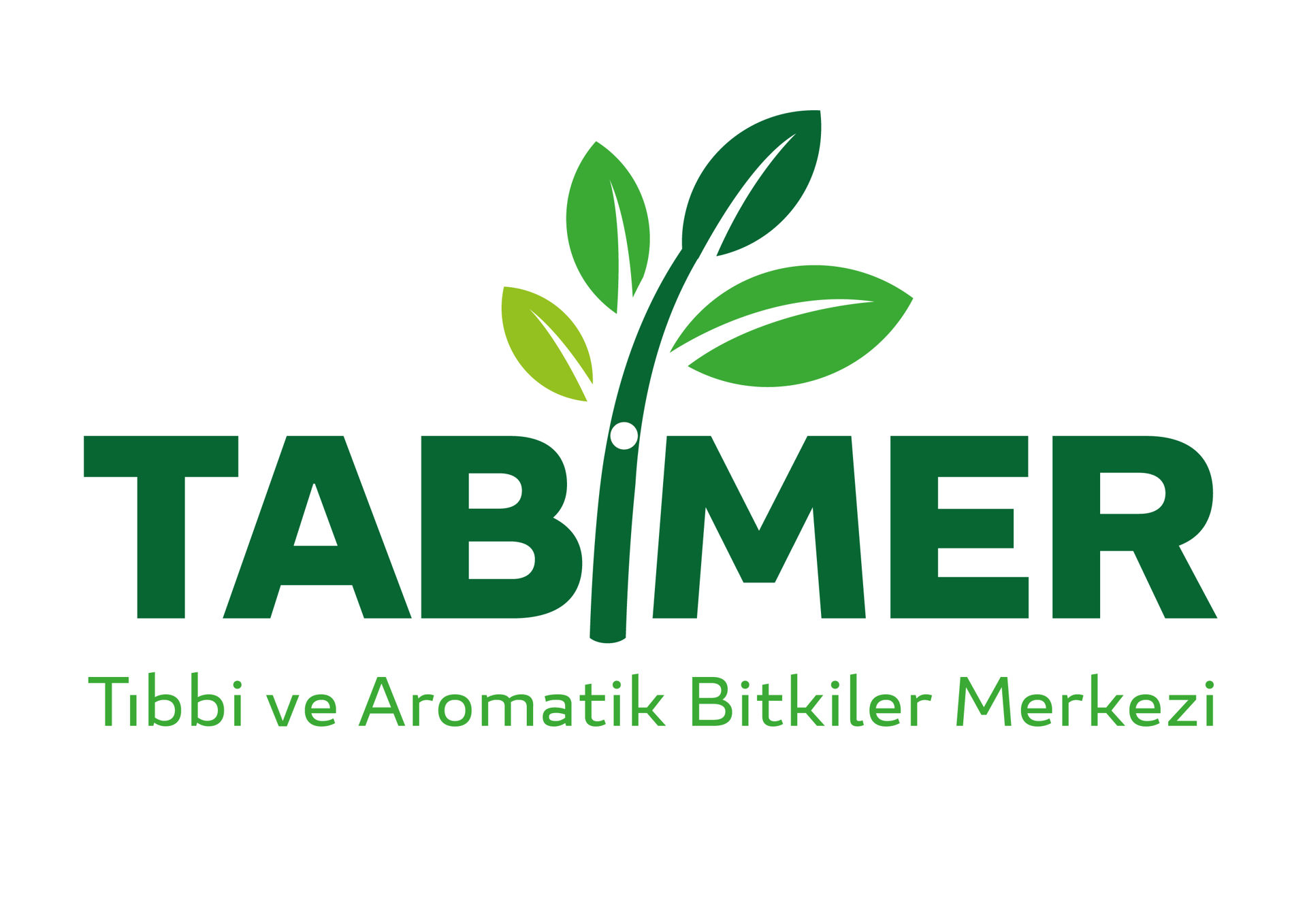 Tabimer
